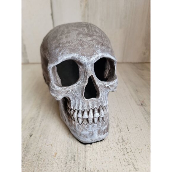 Unique Halloween sitting scary skull skeleton head prop home decor vintage - Picture 1 of 7